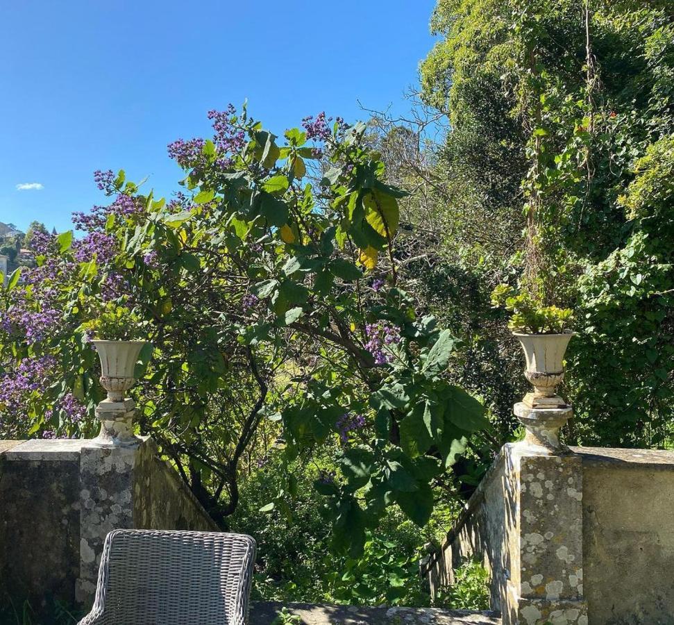 Hotel Casa Holstein Quinta De Sao Sebastiao Sintra Esterno foto